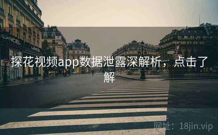 探花视频app数据泄露深解析，点击了解