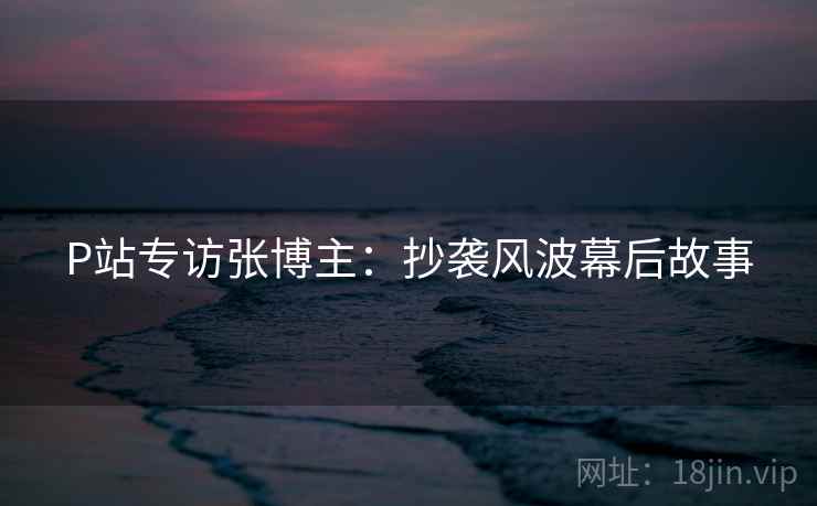 P站专访张博主：抄袭风波幕后故事