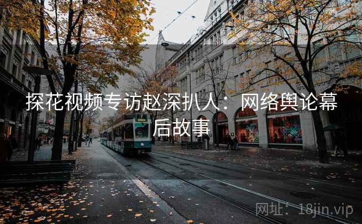 探花视频专访赵深扒人：网络舆论幕后故事
